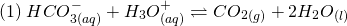 \[ (1)\; HCO_{3(aq)}^- + H_3O^+_{(aq)} \rightleftharpoons CO_2_{(g)} + 2H_2O_{(l)} \]